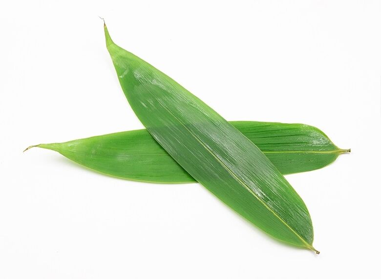 Simpla 360 includes bamboo sheet extract